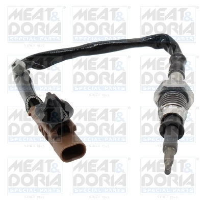 Sensor, exhaust gas temperature